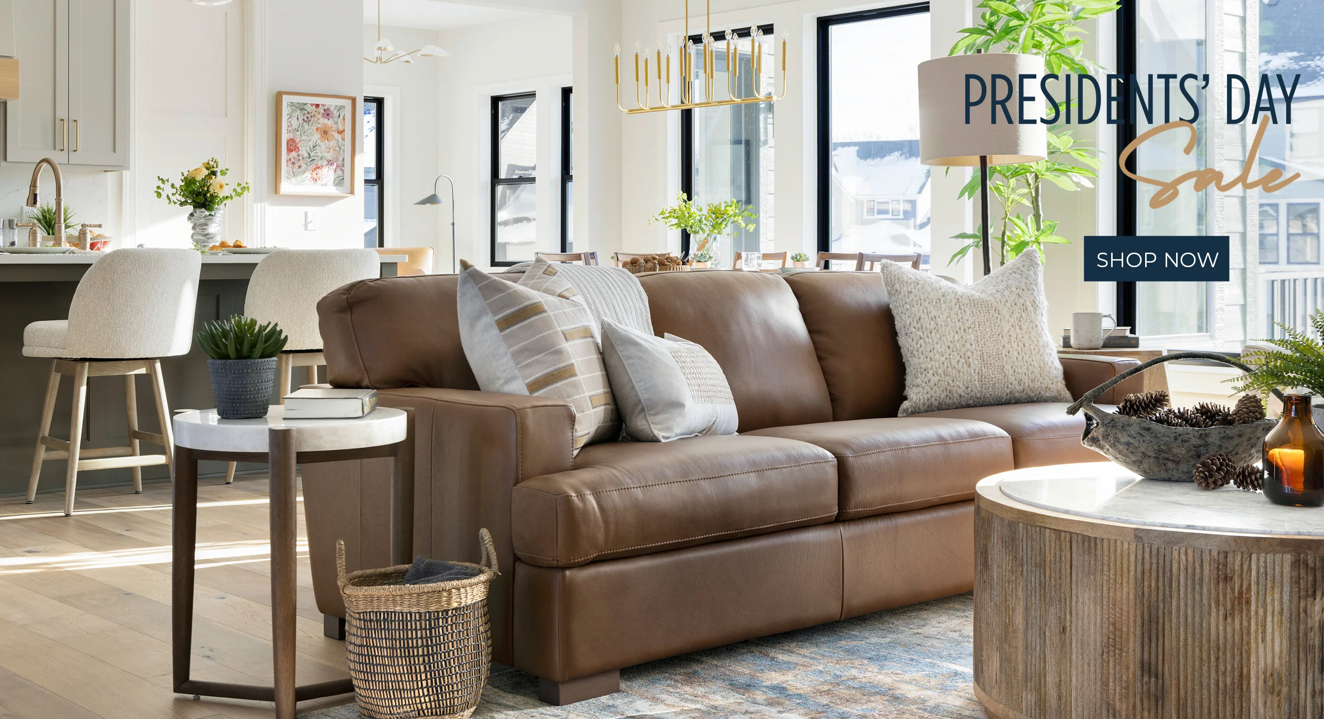 Elevate Your Home with Schneiderman's